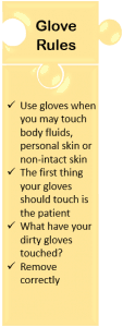 glove rules